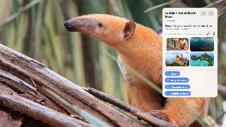 如何解決Linux下Too many open files問題