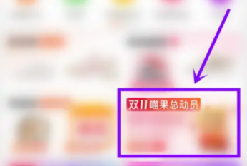 2022淘寶雙十一貓貓怎么玩  雙十一喵果入口新玩法介紹