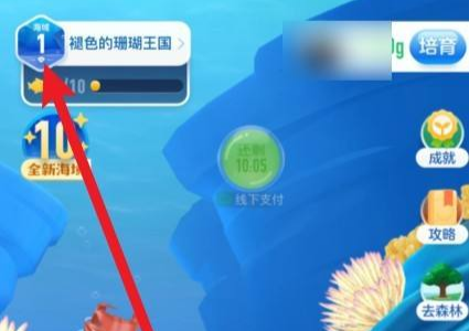 神奇海洋怎么快速升級 神奇海洋快速升級攻略方法分享