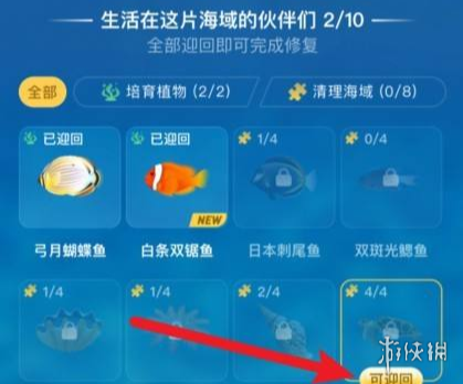 神奇海洋怎么快速升級 神奇海洋快速升級攻略方法分享