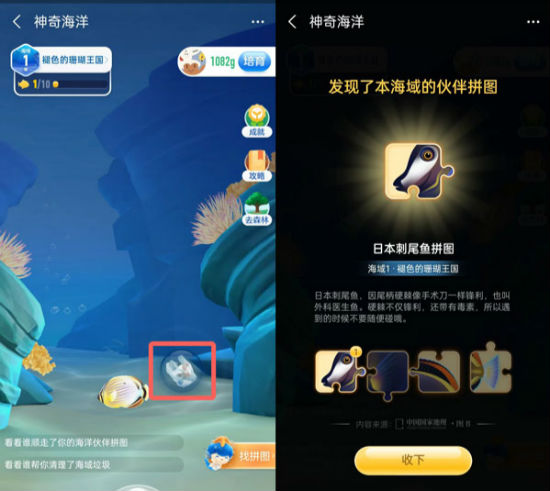 螞蟻海洋怎么獲得拼圖 神奇海洋拼圖在哪怎么領取攻略