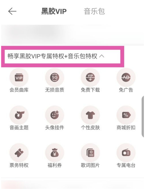 網易云音樂包和黑膠vip有什么區別