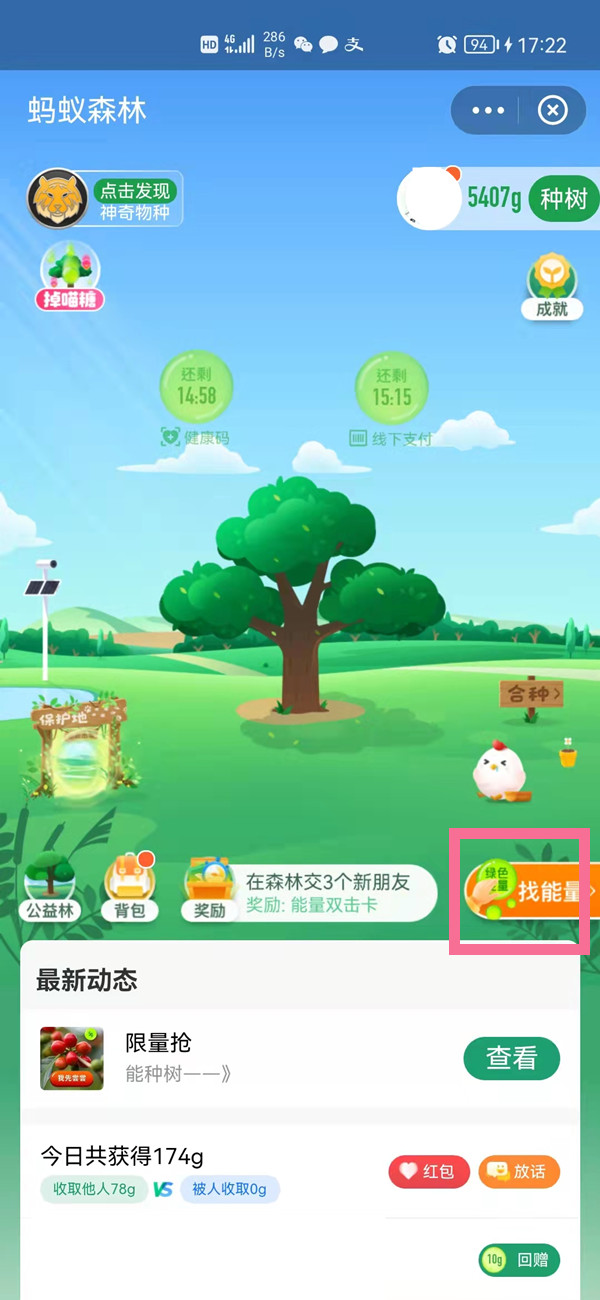 支付寶能量雨在哪里