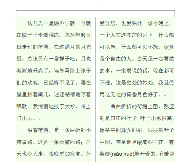 wps一分為二中間為豎虛線怎么弄？