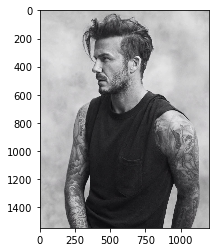 Python 數據科學 Matplotlib圖庫詳解