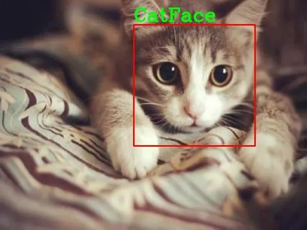 Python實戰之OpenCV實現貓臉檢測
