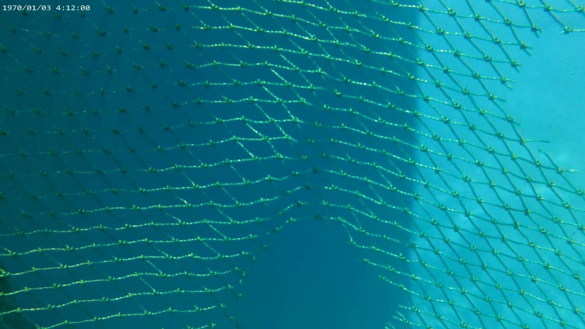 python+opencv實(shí)現(xiàn)視頻抽幀示例代碼