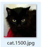 Python機(jī)器學(xué)習(xí)之基于Pytorch實現(xiàn)貓狗分類