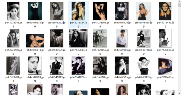 Python爬蟲實(shí)戰(zhàn)之使用Scrapy爬取豆瓣圖片