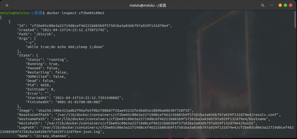 Python開發加薪利器之Docker的使用實踐