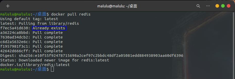 Python開發加薪利器之Docker的使用實踐
