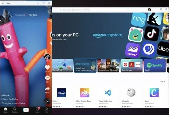 強行升級Win11后不能更新怎么辦？