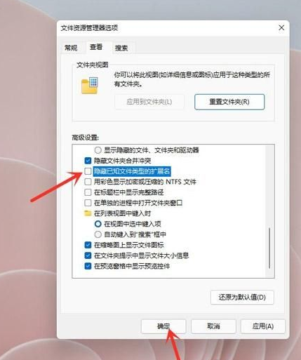 Win11怎么顯示文件后綴名？Win11顯示文件后綴名操作方法