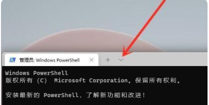 Win11命令提示符怎么打開 Win11命令提示符打開方法