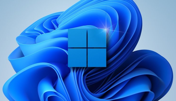 Win11如何查看隱藏項目？Win11查看隱藏項目的方法