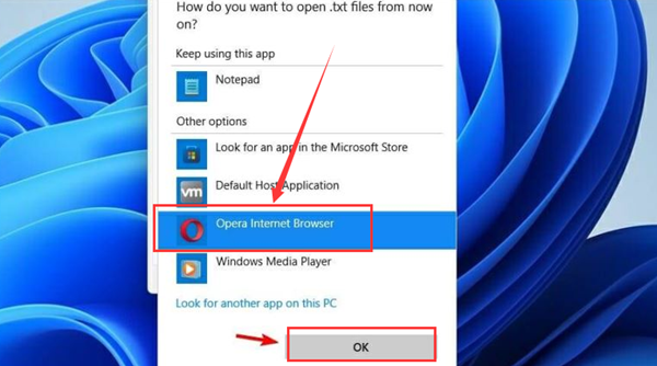 Win11如何更改默認打開方式？Win11更改默認打開方式的方法