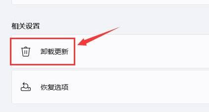 Win11一直黑屏轉圈怎么辦？Win11一直黑屏轉圈的解決方法
