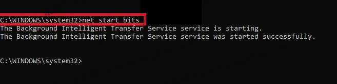 Windows11更新卡在100%怎么解決？