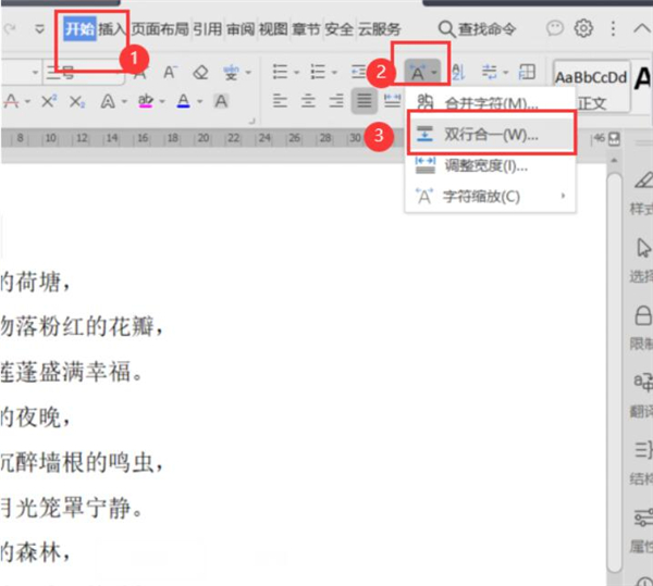 Word文檔中怎么設置雙行合一