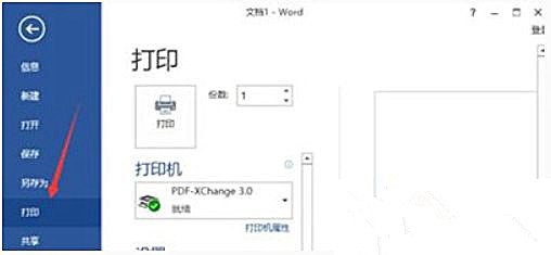 Win10 20H2系統使用Word文檔打印不出圖片怎么回事？