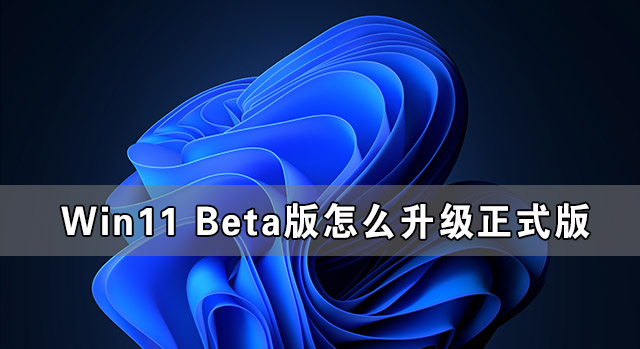 Win11 Beta版怎么升級(jí)正式版 Win11 Beta版轉(zhuǎn)正式版的方法