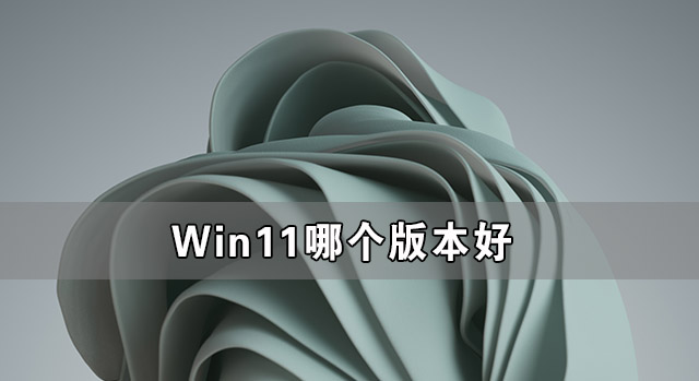 Win11哪個(gè)版本好 Win11哪個(gè)版本的系統(tǒng)最好