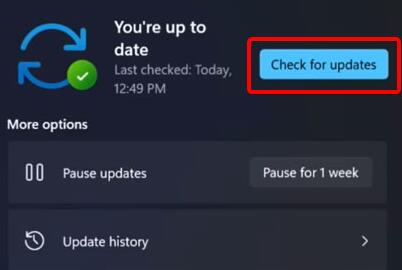 Win11更新卡在0%怎么辦？Win11更新卡在0%解決方法