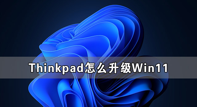Thinkpad怎么升級Win11 Thinkpad筆記本升級Win11系統(tǒng)教程