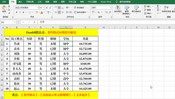 Excel 2019中使用條件格式分析數據的7類方法教學
