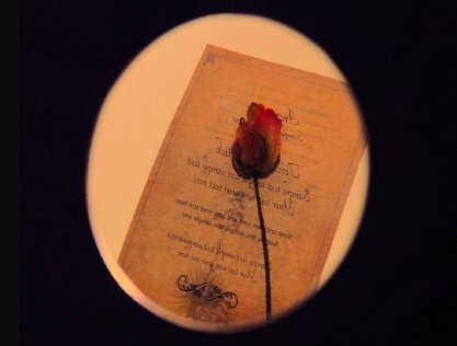 抖音上很火的個性簽名 2020抖音高人氣簽名大全