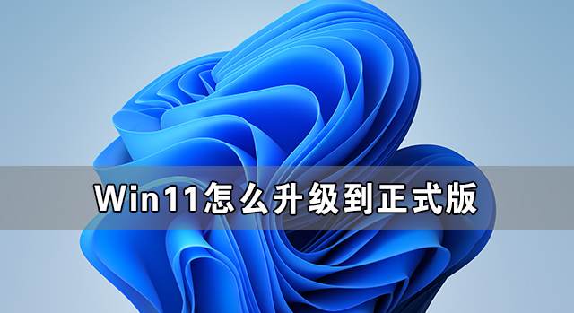Win11怎么升級到正式版 Win11升級正式版的方法介紹