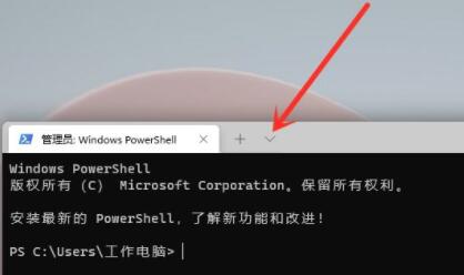 Windows11命令提示符怎么打開？Windows11命令提示符打開方法分享
