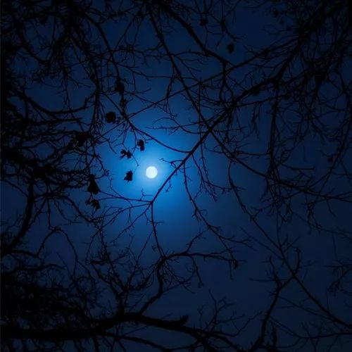 2020最流行微信頭像：成熟穩(wěn)重的男生頭像大全！