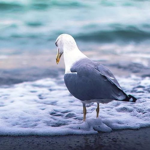 2020最流行微信頭像：成熟穩(wěn)重的男生頭像大全！