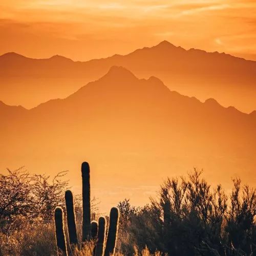 2020最流行微信頭像：成熟穩(wěn)重的男生頭像大全！