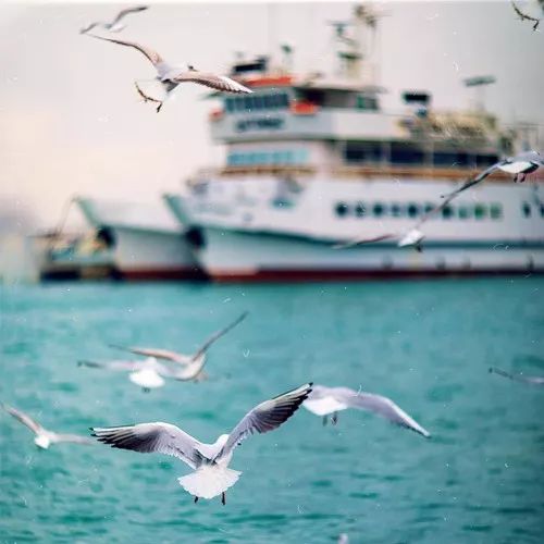 2020最流行微信頭像：成熟穩(wěn)重的男生頭像大全！