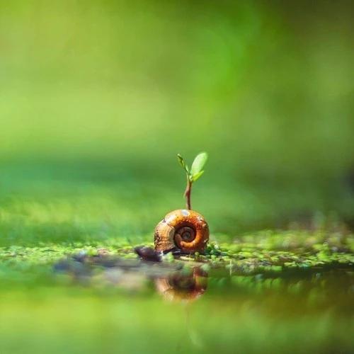 2020年最流行的微信頭像！美美噠的頭像趕緊換起來！