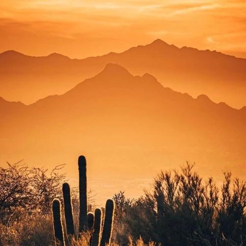 2020年最流行的微信頭像！美美噠的頭像趕緊換起來！