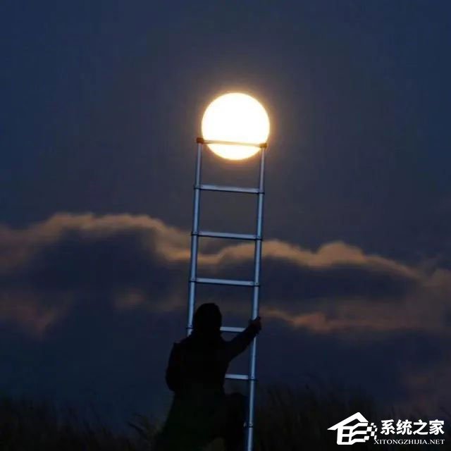 2020抖音最火網名分享，讓人過目不忘！