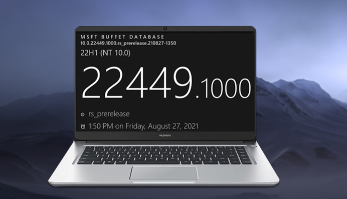 為什么沒收到Win11 22449.1000更新 怎么才能收到22449.1000更新