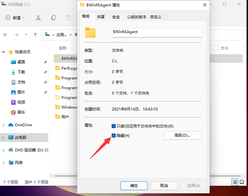 Win11如何查看所隱藏的文件？Win11查看隱藏的文件的方法