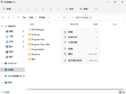 Win11如何查看所隱藏的文件？Win11查看隱藏的文件的方法
