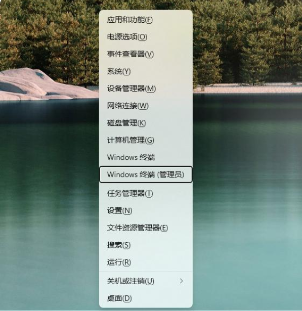 Win11應(yīng)用商店還是舊版的怎么辦 Win11應(yīng)用商店怎么更新到新版