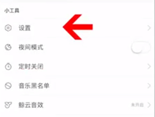 蘋果手機(jī)網(wǎng)易云怎么設(shè)置桌面歌詞