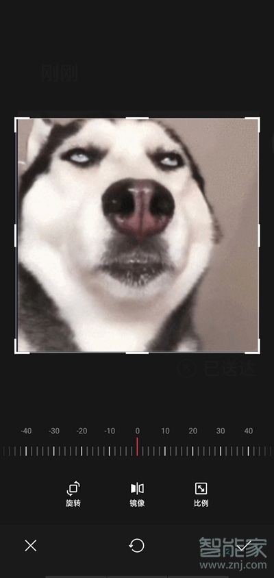 抖音收藏的表情怎么導出