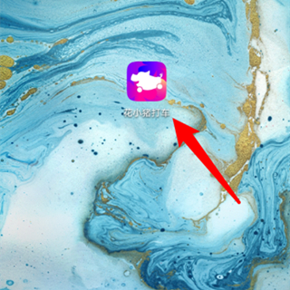 花小豬打車怎么用支付寶付款
