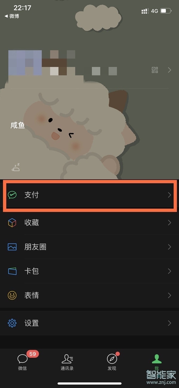 蘋(píng)果手機(jī)微信支付怎么加密