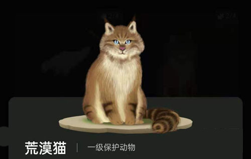 螞蟻森林里的小動物怎么獲得？螞蟻森林里的小動物有哪些？