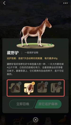 螞蟻森林里的小動物怎么獲得？螞蟻森林里的小動物有哪些？