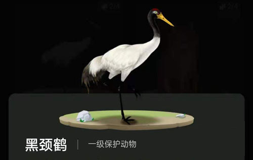 螞蟻森林里的小動物怎么獲得？螞蟻森林里的小動物有哪些？